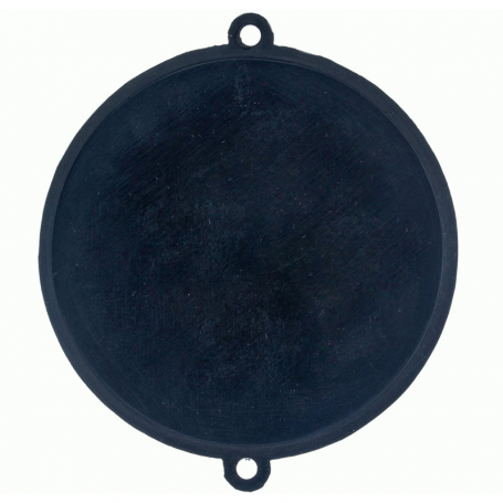 Membrana Calentador Vaillant Orbegozo 10L VCW180 010375